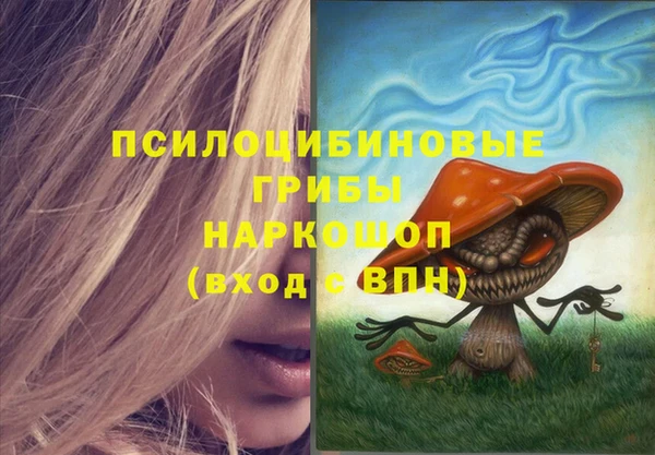 амф Алексин