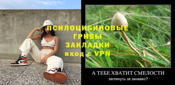 амф Алексин