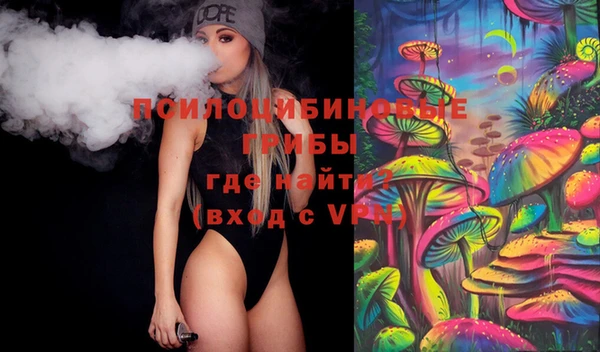 амф Алексин