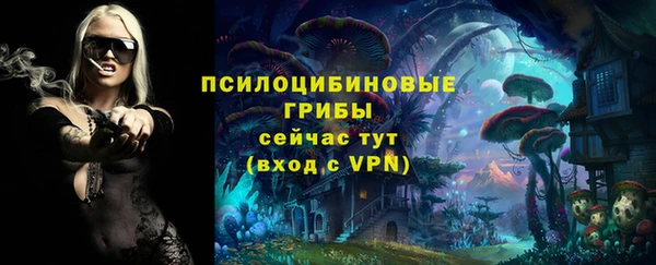 бошки Абинск
