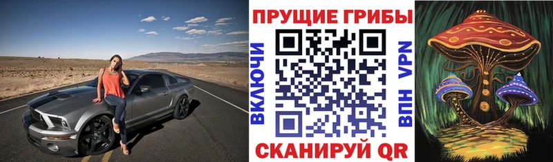 что такое   Петушки  Псилоцибиновые грибы мицелий 